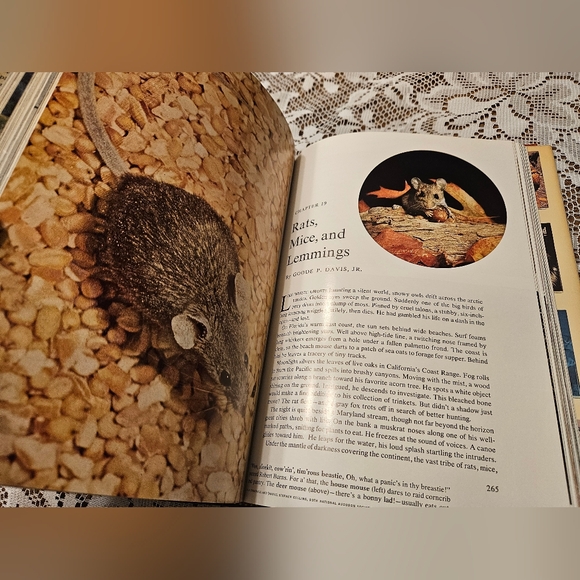 WILD ANIMALS OF NORTH AMERICA W/ DUST JACKET AND PLASTI-KLEER DJ COVER VTG 1971 - Picture 5 of 7